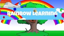 Una y una en un tiene una un en y Bricolaje rosquilla gigante cómo gelatina hacer jugar Limo para Doh rainbowlearning