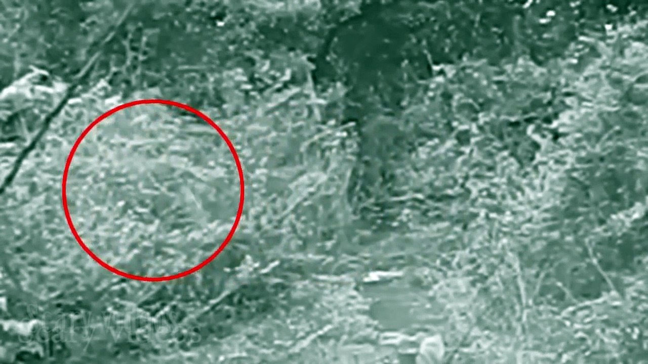 Real Life GHOST ATTACK VIDEOS Caught On Camera _ Ghost Attack CCTV Footage _ Scary Ghost Videos