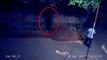 Real Old Haunted Mansion!! Real Ghost Caught On Camera _ Most Haunted House Ever _ Scary Videos 2017