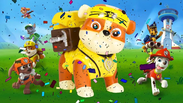 Patte patrouille se transforme dans bébé patte patrouille coloration vidéo tenues amusement vidéos pour enfants