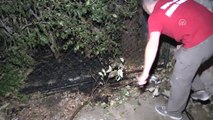 Bodrum'da Okul Bahçesinde Çıkan Yangın Söndürüldü - Muğla