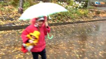 ✔ Кукла Беби Борн и Поля прогулка под дождем в лесу. Doll Baby Born walking in the rain New Suit ✔