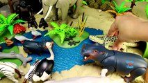 Safari Zoo Wild Animals Toys Schleich Toys Collection Learn Animal Names For Kids