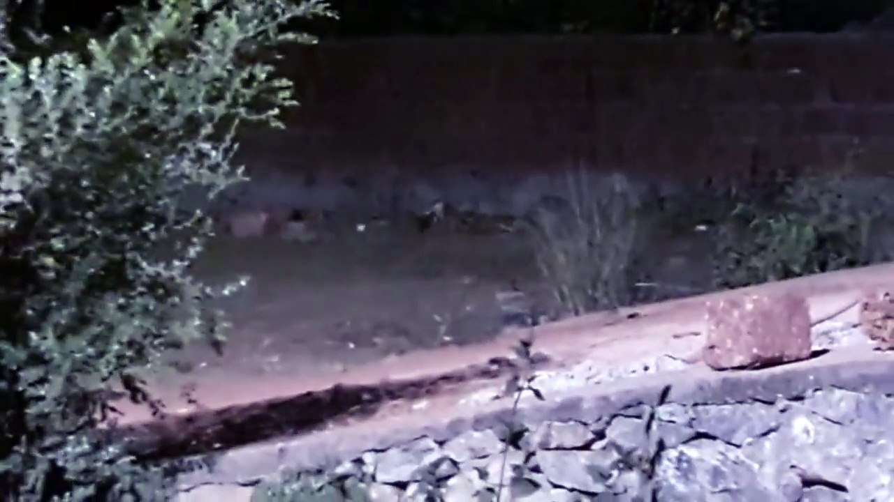 Scary & Paranormal Ghost Sightings _ Real Creepy Ghost Videos