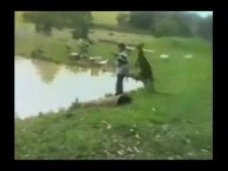 Don't-Miss-With-Kangaroos