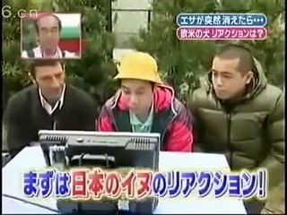 cruel dog prank japan