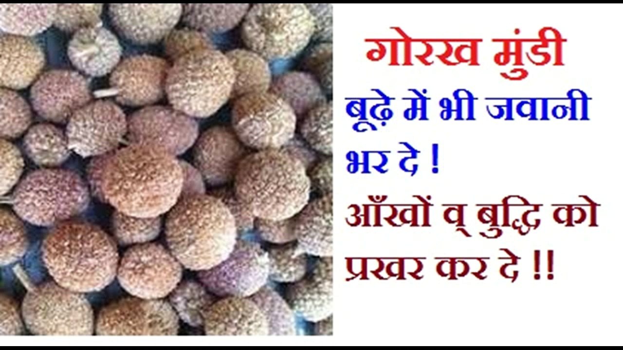 हिमालय से प्राप्त # यौन दुर्बलता का सस्ता व् चमत्कारिक प्रयोग # For Strong Sexual Power @ Health Care ! Haelth Tips