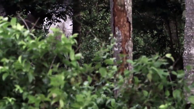 Scary Ghost Videos _ Real Ghost Caught on tape _ Scariest Ghost Sightings Ever Caught on tape