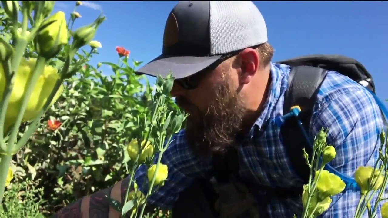 Veterans to Farmers Program Helps Returning Vets Find Careers