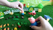 Cerdo juguetes vídeos con en cerdo del peppa 03 Peppa museo zoológico con la familia