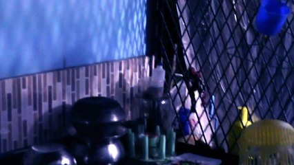 Shocking Ghost Video _ Scariest Paranormal Activity _ Scary Videos