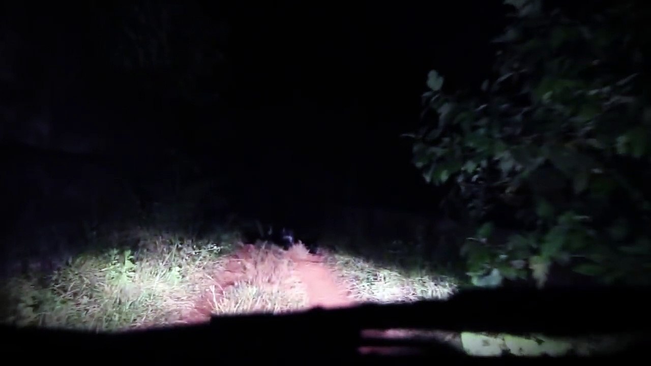 Shocking Ghost Videos _ Real Ghost Caught in the middle of the road _ Scary Videos