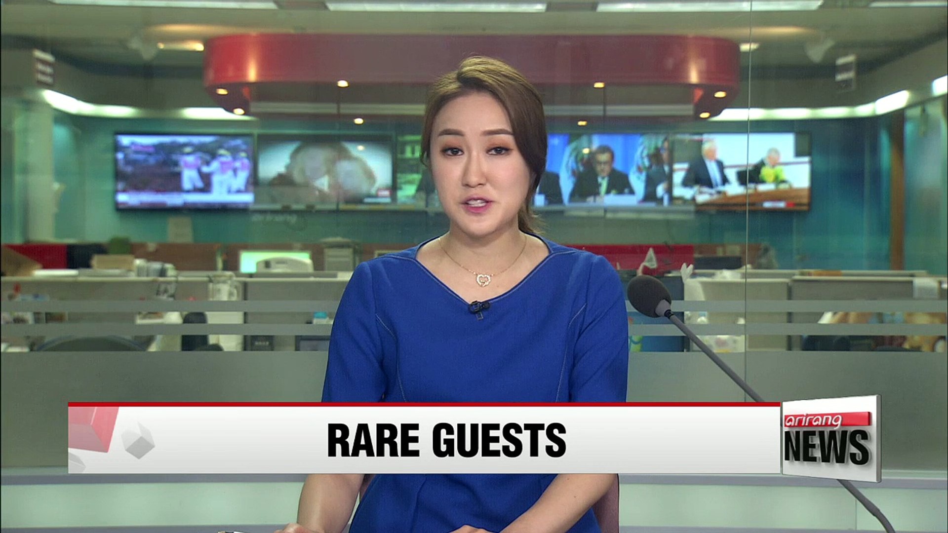 ⁣Endangered animals make rare appearance in Korea