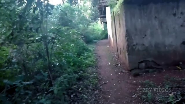 Strange Creature _ Alien Caught On Tape _ Scary videos _ Ghost Caught On Camera _ Real Ghost Videos