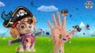 Kidder - Baby Learning Songs! Paw Patrol Transforms Into Pirates, Finger Family Nursery Rh