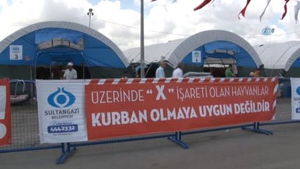 Sultangazi'de Kurbanlıklar Alıcılarını Bekliyor