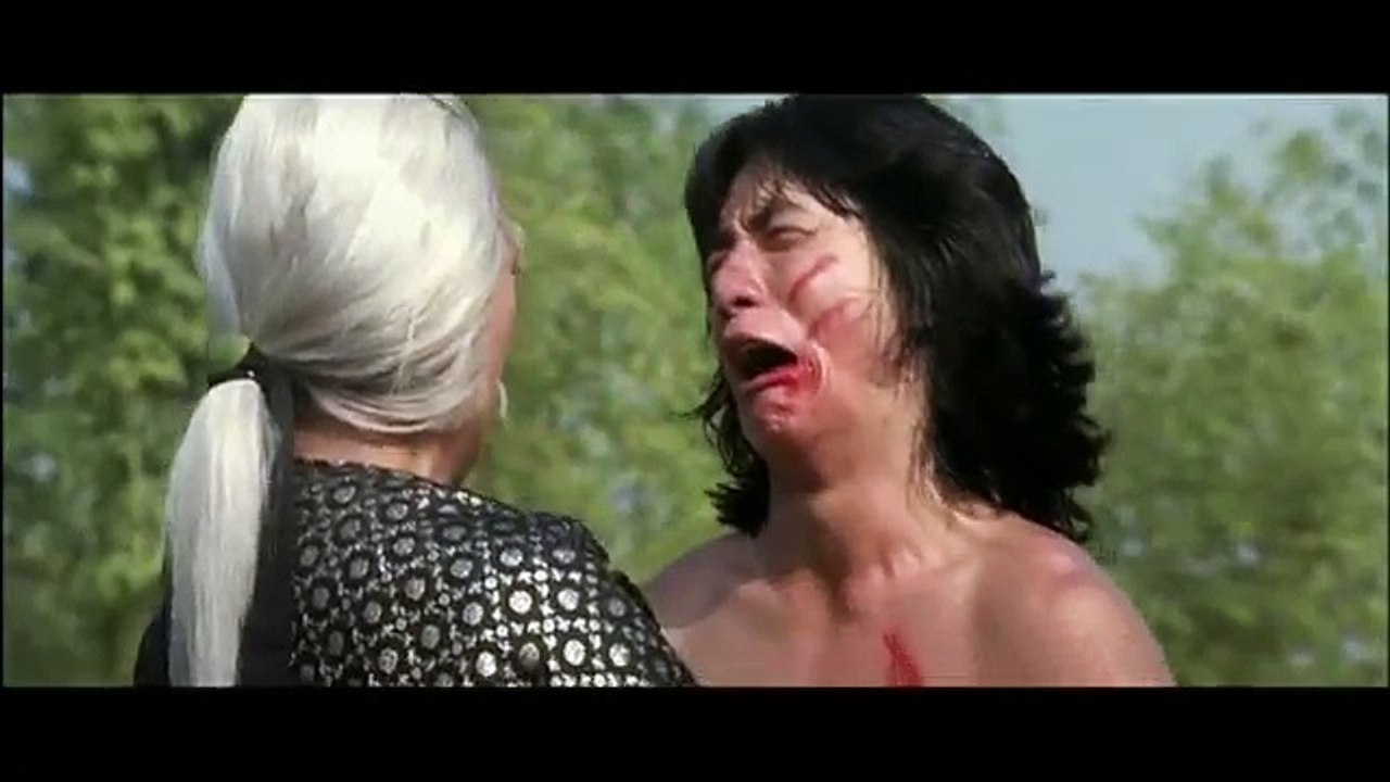 Alias sans peur hyène de de vengeance le le le le la 1979 dragon jackie chan james tien