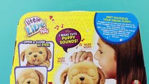 Snuggles My Dream Puppy * Little Live Pets New Interive Realistic Toy Dog by DCTC