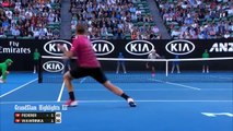 Roger Federer vs Stan Wawrinka Australian Open 2017 SemiFinals (highlights HD)