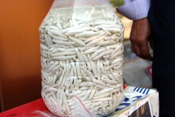 Bin Derde Deva Kenger Sakızının Kilosu 600 TL'den Satılıyor