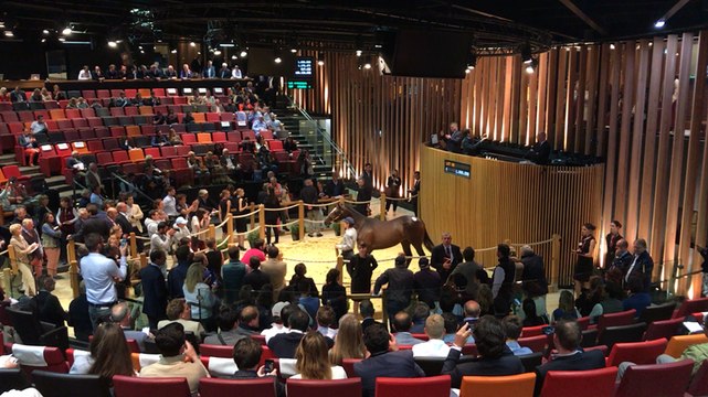 Vente des yearlings : top price du samedi soir