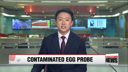 Government's additional probe into egg farms underway Sunday