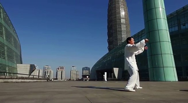 Chen Bin Chen Taiji Laojia Yilu (Old frame 1) complete Chen Zhenglei Taiji System