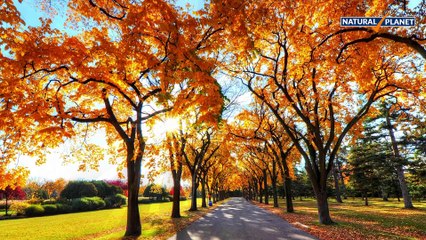 Maroon Bells, USA Natural Place