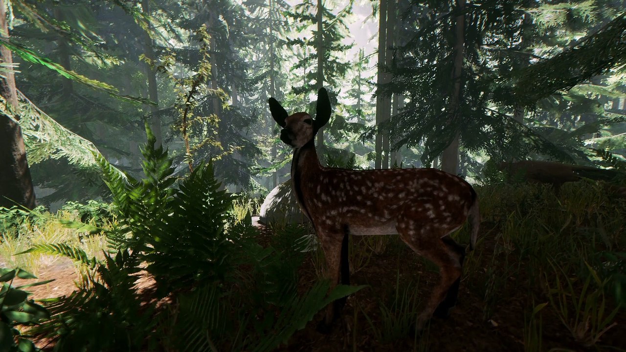 The Forest Cinematic Trailer - [HD]