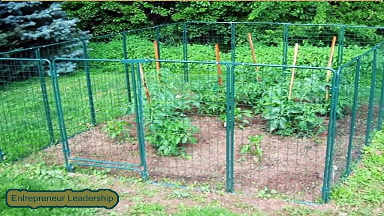 Beautiful Garden Fence Ideas | Good Small Fence for Garden | Garden Fence Collection