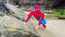 Playing on the Beach with Baby Doll / Spiderman Water and Sand I found a baby! - Water Col