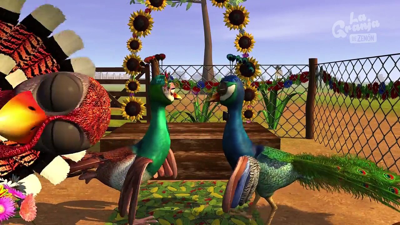 Un Pollito, Una Boda y A Bañarse - ¡3 Episodios y Canciones! | La Granja de Zenón