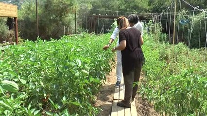 Lüks Turistik Tesiste Organik Tarım