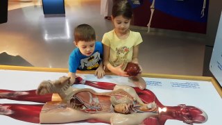 Family fun ride at Childrens City Museum. Kids pretend playing. Video 2017