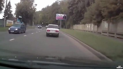 Ce Caribou échappe de peu a la mort en traversant une route