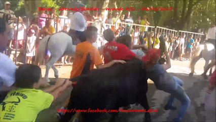 Barjac-Abrivado-Bandido-Agu-06/08/2017