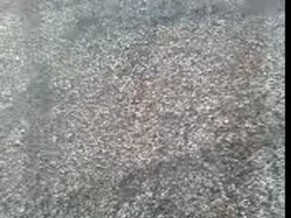 saut, twelve fifty-five !