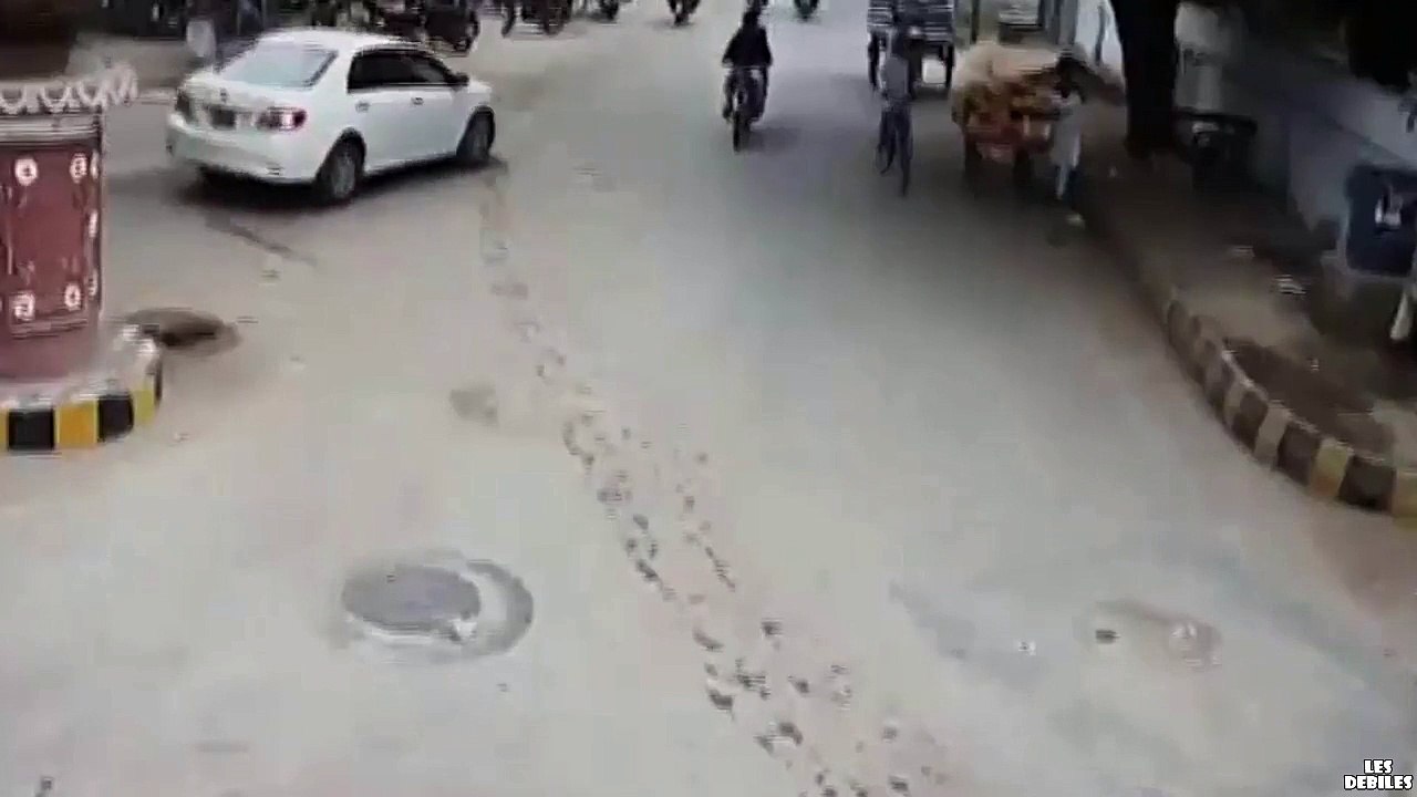 Un Buffle fonce dans un motard