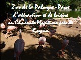Visite en pleine été le Zoo de la Palmyre - Parcs d'attraction et de loisirs