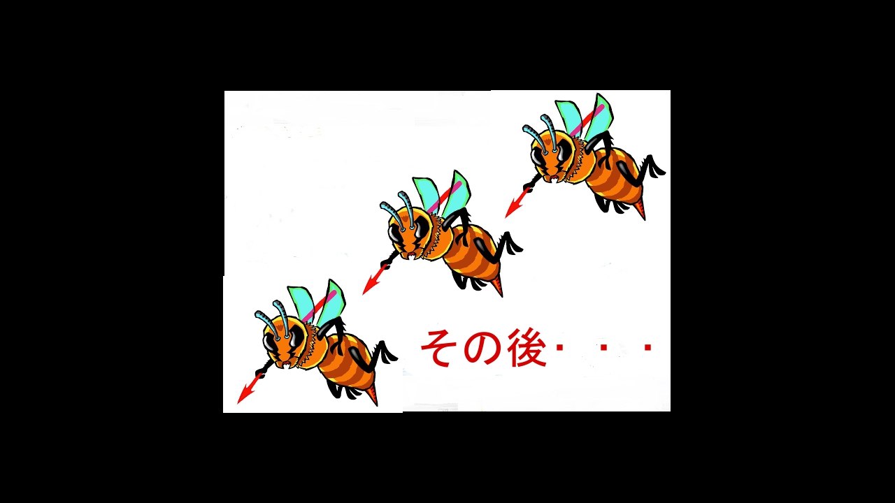 【驚愕！ハチの毒】昨日午後ハチに刺された結果！その後･･･