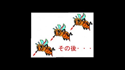【驚愕！ハチの毒】昨日午後ハチに刺された結果！その後･･･