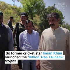World Economic Forum Video on Billion Tree Tsunami Project on 20.08.2017
