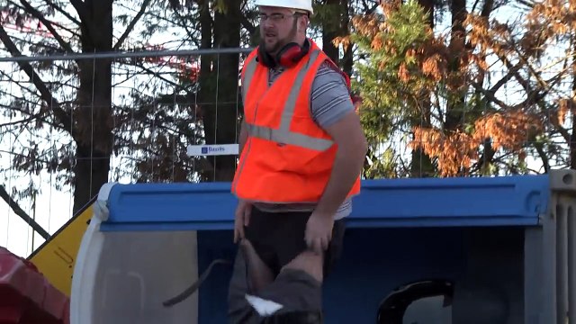 ANIMALS STRIKE BACK (REMI GAILLARD)