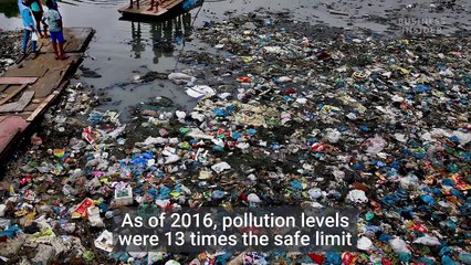 Hindistan’ın Mumbai şehrinde sokaklarda dolaşan mavi köpekler yerel halk arasında endişe uyandırdı.