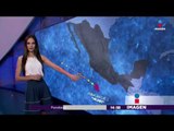 El huracán Hilary se acerca a México ¿golpeará las costas? | Noticias con Yuriria Sierra