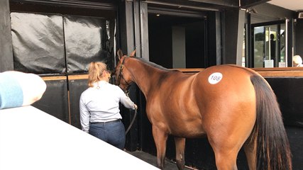 Les ventes de yearlings depuis l'extérieur de la salle