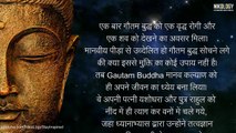मृत्यु होना समय की बात है | Gautam Buddha Success Life 25  Quotes in Hindi