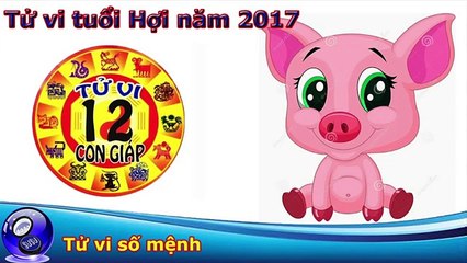 TỬ VI TRỌN ĐỜI CỦA NHỮNG NGƯỜI SINH NĂM 1995 - CƠ HỘI THĂNG TIẾN - CÔNG DANH SỰ NGHIỆP - TỬ VI 24H