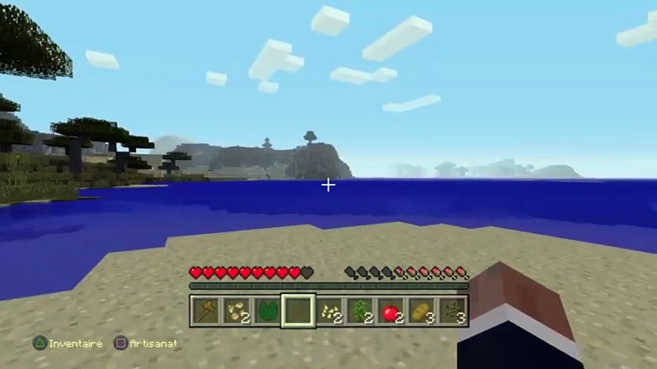 Rush sur Minecraft (25)