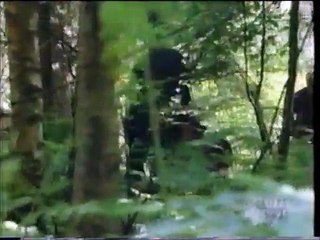 PBS Mystery Intro Inspector Morse Way Through the Wood Diana Rigg